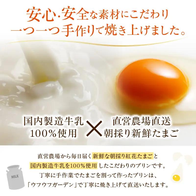 プリン ウフウフガーデンのとろ生プリン 90g×6個