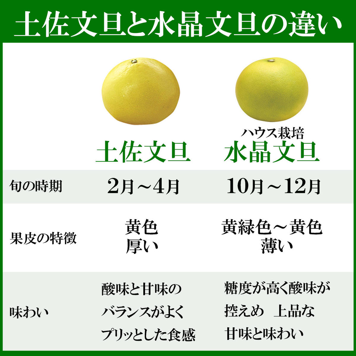【先行予約】高知県産水晶文旦 特選ご贈答用 中玉6個入り〈2026年10月上旬～11月上旬頃発送〉ぶんたん ブンタン 水晶文旦 果物 柑橘 【白木果樹園】 [BQAI019]