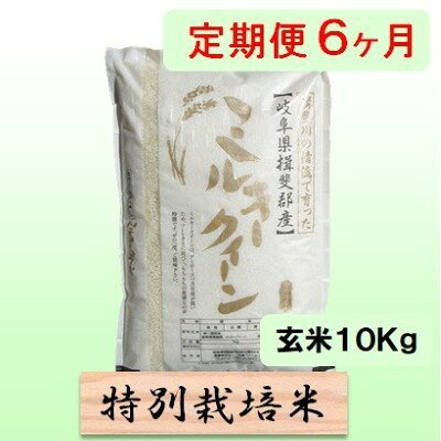 【ふるさと納税】定期便 6カ月【 令和8年産 】毎月 玄米 10kg【 ミルキークイーン 】　お届け：2026年10月中旬以降発送