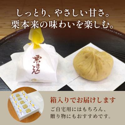 ふるさと納税 七宗町 【11月発送】 秋冬限定 地元産の栗 栗きんとん 15個入り 老舗和菓子 松栄堂 |  | 01