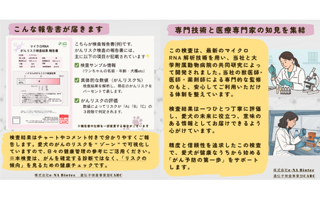 イヌ がんリスク検査【大切な家族のために】&nbsp;ペット 検査キット 早期発見 岐阜市 / 株式会社e-NA Biotec[ANHE002]