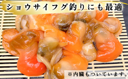 岬だよりの＜訳あり＞青柳釣り餌用 220g×10袋セット