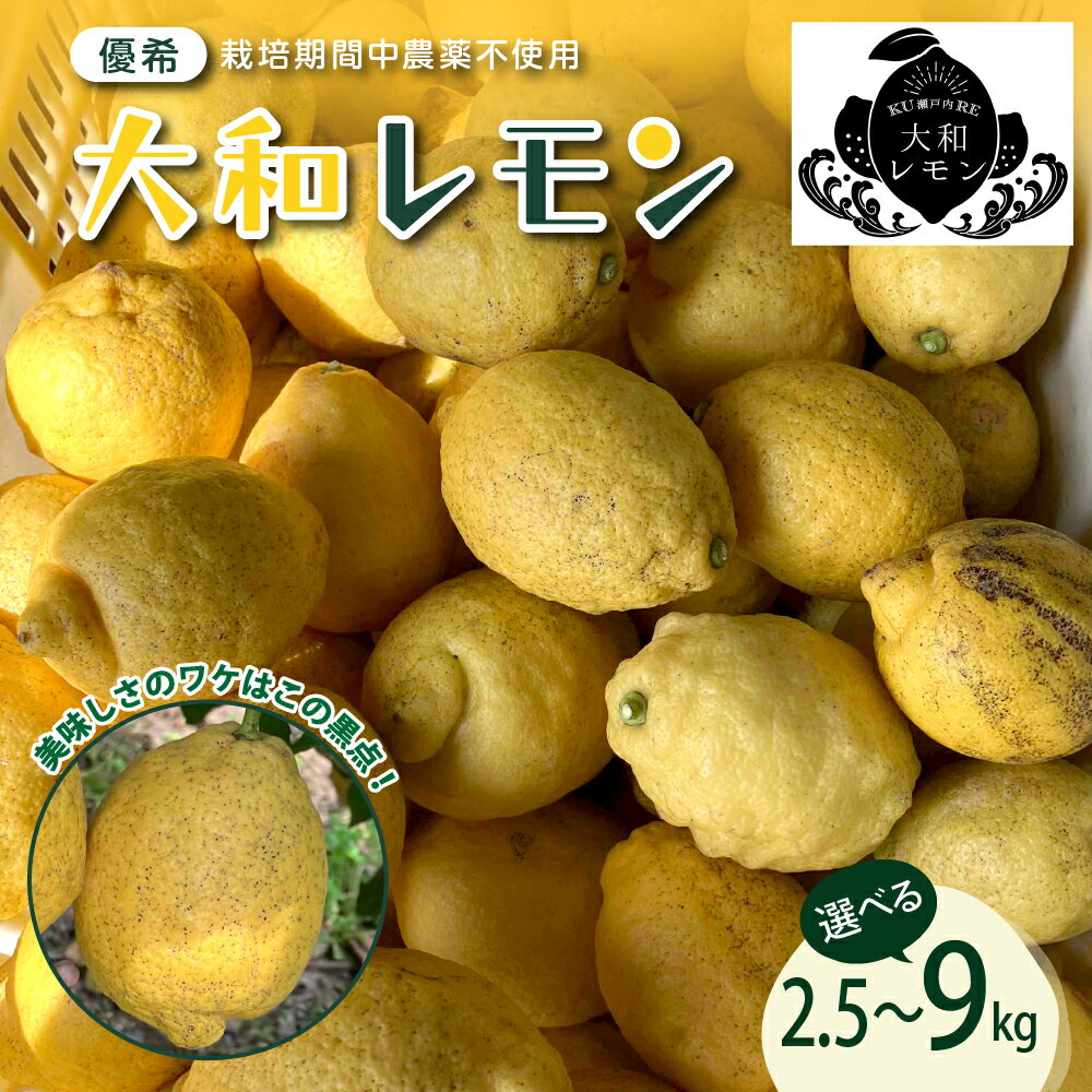 【ふるさと納税】先行予約 大和レモン 選べる内容量 栽培期間中 農薬不使用 2.5kg 4.5kg 9kg 【2025年10月中旬～発送】新鮮 発送日に収穫 檸檬 レモン 果物 くだもの フルーツ 柑橘 送料無料 広島県 呉市