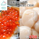 【ふるさと納税】北海道産 いくら 100g×4 大粒 ほたて貝柱 250g 計650g ホタテ 小分け 食べ切り ご飯のお供 おつまみ 海鮮丼 刺身 バター焼き セット 魚卵 魚介 魚介類 丸鮮道場水産 冷凍 送料無料