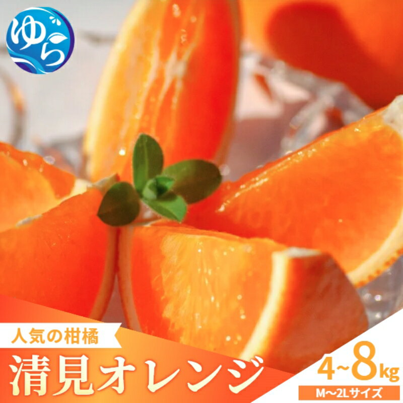 【ふるさと納税】 清見 オレンジ 家庭用 / みかん きよみ 柑橘 晩柑 和歌山 由良町 甘い 農家直送 数見農園 / 4kg 8kg ※2026年3月上中旬～順次発送