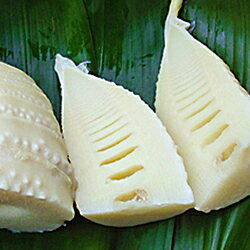 【先行予約】【ふるさと納税】新鮮！朝掘り・朝茹でタケノコ水煮 【072_0872】