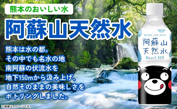 熊本のおいしいお水 阿蘇山天然水 330ml×48本（2ケース）