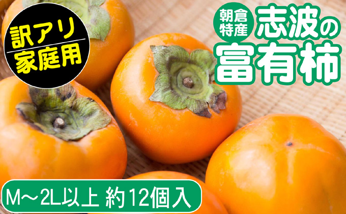 2025年先行予約 志波の富有柿 家庭用 M～2Lサイズ×約12個入 発送予定：2025年11月20日～12月25日 ※配送不可：離島 果物 フルーツ 秋の味覚 おやつ デザート 産地直送 ブランド 柿の王様 福岡県産 朝倉市産