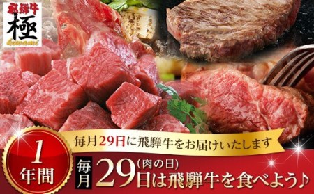 飛騨牛 肉の日 定期便 1年 12回 (12ヶ月)  毎月29日お届け 1年バージョン プレミアム お肉 牛肉 定期便 飛騨市推奨特産品[O0002]