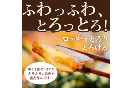 練り物 詰め合わせ 6種 計12枚入り 国産 冷蔵 ねぎ天 イカ天 角天 ごま天  フィッシュカツ  (大人気練り物 人気練り物 大人気練り物セット 人気練り物セット 冷蔵練り物 ご当地練り物 おつま