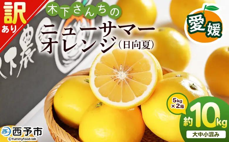 ＜木下さんちのニューサマーオレンジ 訳あり 約10kg（大中小サイズ混み）＞ 柑橘類 日向夏 ミカン 蜜柑 果物 くだもの フルーツ 国産 特産品 木下農園 愛媛県 西予市【常温】『2027年4月上旬～5月中旬に順次出荷』MKS0008