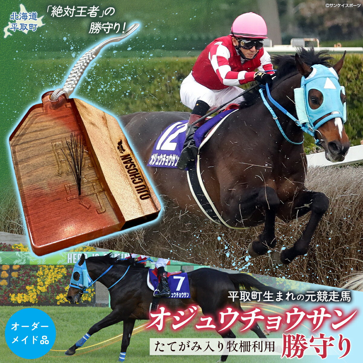 【ふるさと納税】【御守り】オジュウチョウサンたてがみ入り牧柵利用勝守り 【 ふるさと納税 人気 おすすめ ランキング お守り 御守り 馬 競馬 競走馬 引退馬 オジュウチョウサン オーダーメイド 北海道 平取町 送料無料 】 BRTV001