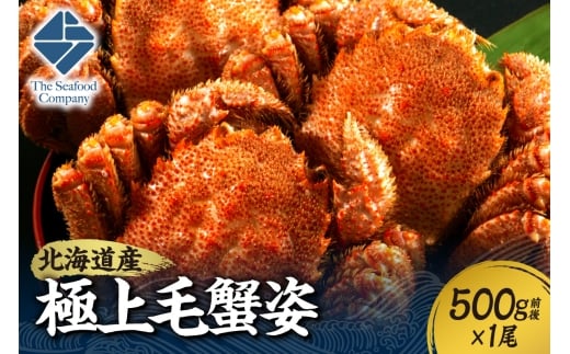 極上毛蟹姿　500g前後×1尾