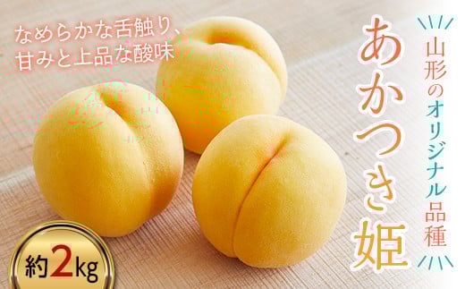 《先行予約 2026年度発送》農家おすすめ！希少品種「あかつき姫」 約2kg FSY-2381