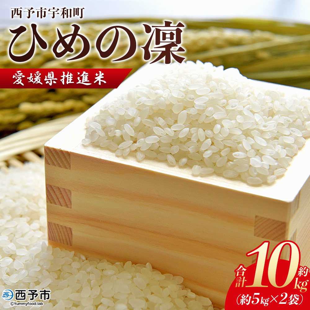 ＜愛媛県推進米 ひめの凜 約10kg＞ お米 コメ こめ 白米 精米 ご飯 ライス 穀物 ひめのりん ヒメノリン ブランド米 大粒 ツヤツヤ 特産品 愛媛県産 西予市産 宇和町産 三好フク 愛媛県 西予市