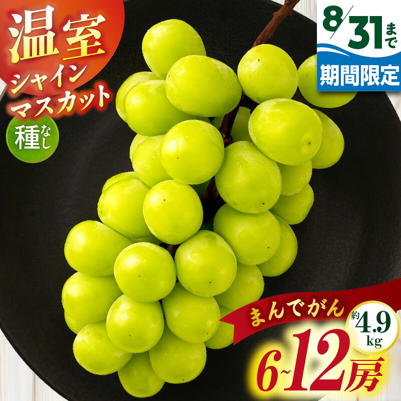 【ふるさと納税】【8月31日（夏休み）までの期間限定価格!!】温室シャインマスカット　まんでがん　約4.9kg | シャインマスカット ぶどう 果物 フルーツ 期間限定 くだもの 国産 ギフト 旬 人気 種なし 皮ごと食べられる 先行予約 季節限定 おすすめ 旬の果物 香川 三木町