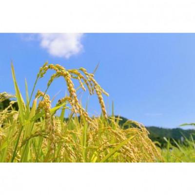 ふるさと納税 長野県 コシヒカリ 玄米 5kg【 栽培期間中低農薬 】令和7年産 長野県東御市御牧ヶ原産 |  | 02