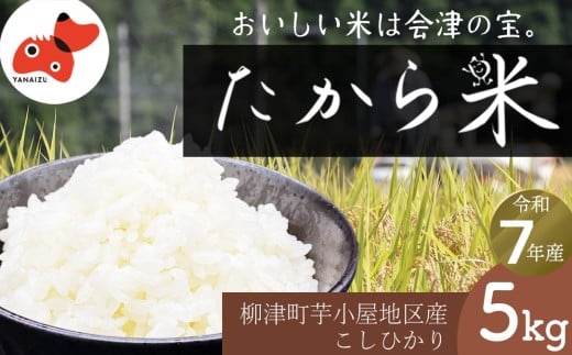 ＜令和7年産＞奥会津のきれいな水で大切に育てた「たから米」＜5kg＞【1685979】