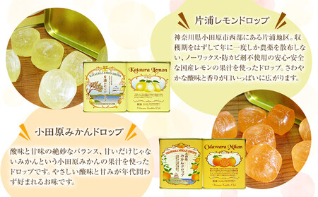 【小田原の柑橘果汁を使ったドロップ3種類セット】口に入れるとフルーツの香りが広がるドロップ。【 ドロップ 神奈川県 小田原市 ドロップ】