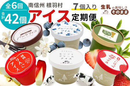 新フレーバー入り！全6回★42個！全種類のアイスが届く定期便☆ 南信州根羽村産アイス が毎月7個届く！ 合計42個 アイスクリーム ソフトクリーム バニラ 西尾 いちご 紅ほっぺ いちご りんご ブルーベリー 抹茶 ミルク 