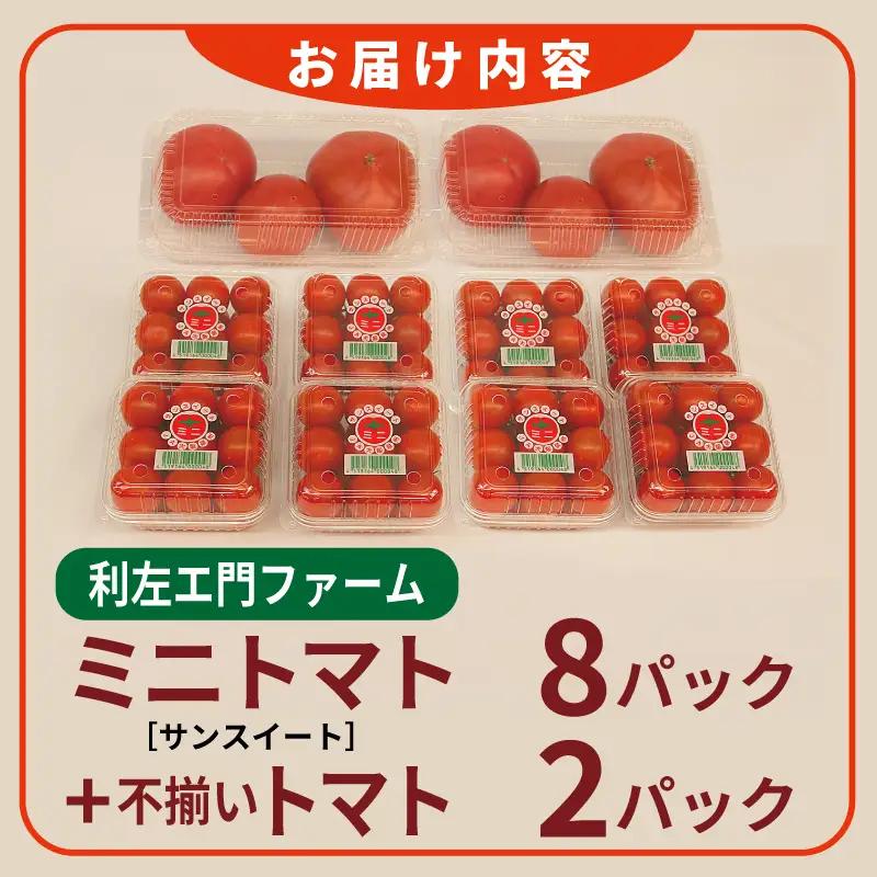 泉州産 新鮮ミニトマト 8パック+不揃いトマト2パック