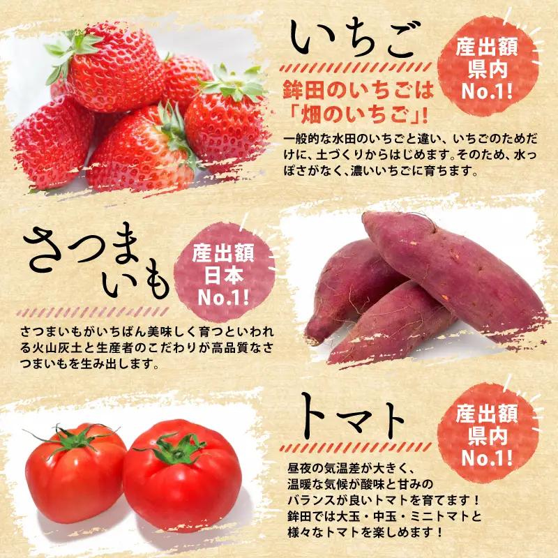 焼き干し芋600g（200g×3袋）紅はるかのほしいも スイーツ 国産 小分け 個包装