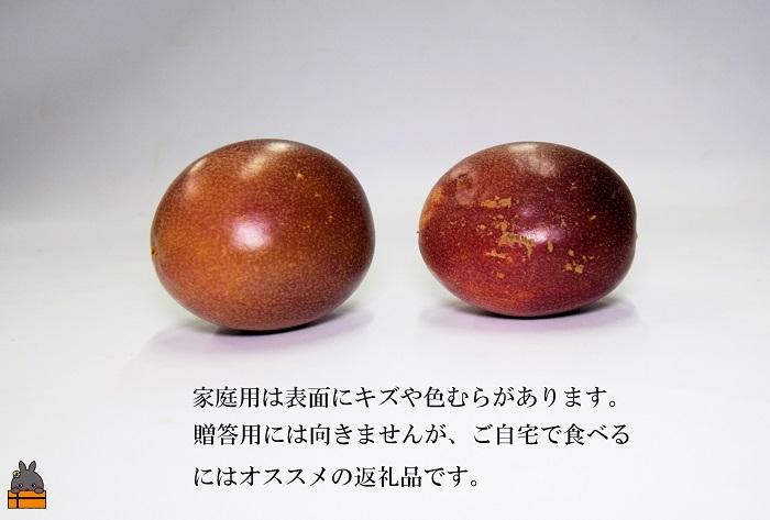 《今が旬！》とくのしま中島農園さんの家庭用パッションフルーツ（約1.5kg）  ( パッションフルーツ 果物 フルーツ 旬 わけあり 訳あり 訳有 訳アリ 奄美 徳之島 鹿児島 美味しい 中島農園)