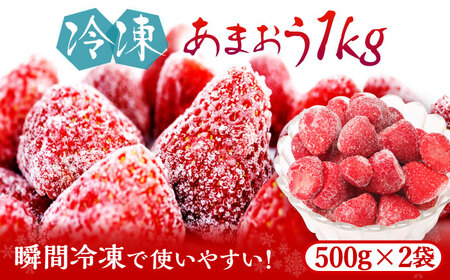 いちご 福岡県産 約500g×2袋 合計約1kg [ABDG005] 果物 あまおう