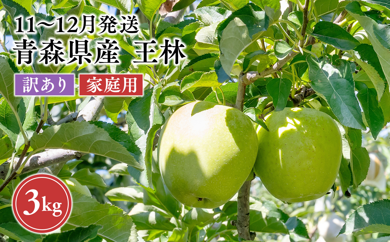 2026年11月～12月発送　【訳あり】家庭用王林 約3kg【原田農園】