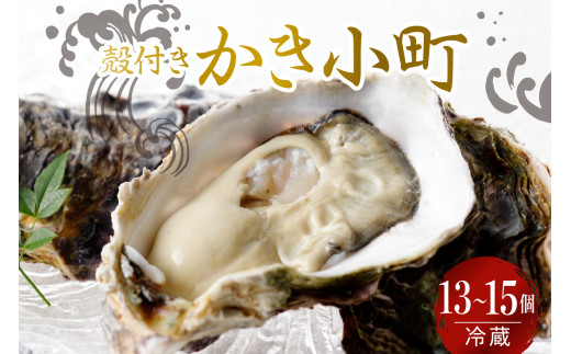 
            【選べる配送時期】宮原水産 かき小町 殻付き 13～15個 ku005-012-25
          