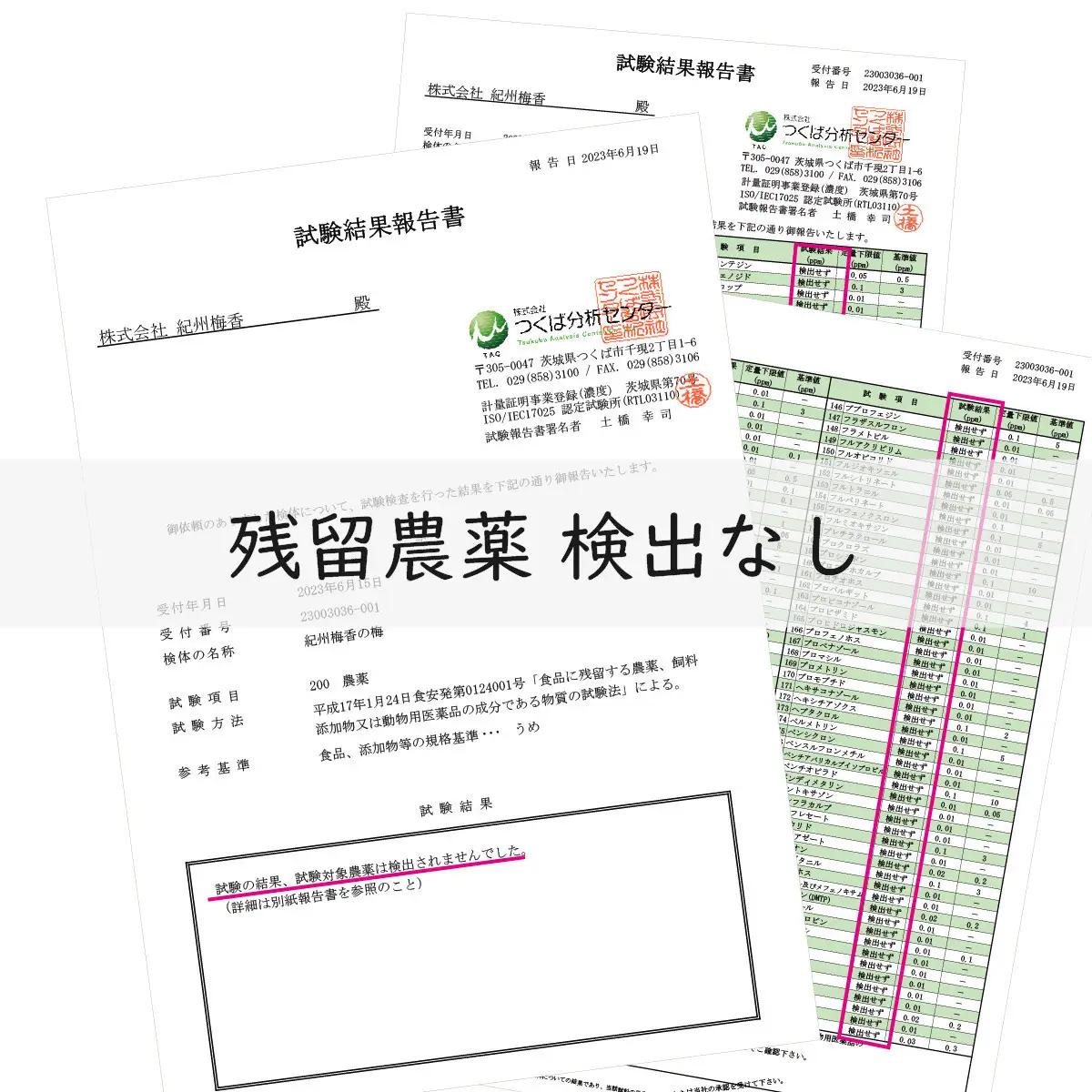 規格外品 無添加 栽培期間中農薬不使用 昔ながらの梅干し 紀州南高梅 塩のみで漬けたすっぱい梅干し 800g（400gパック×2個）塩分約23% 3年熟成品 N20-K ［KU8］