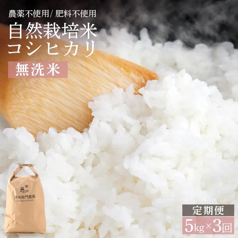 【先行予約】【令和8年産 新米】定期便 ≪3ヶ月連続お届け≫ 自然栽培米コシヒカリ 無洗米5kg×3回（計15kg） 伊与衛門農園の特別栽培米＜温度と湿度を常時管理し新鮮米を出荷！＞/ 米 白米 自然の力 高品質 鮮度抜群 ブランド米 福井県 あわら市産 スマート農業 ※2026年10月下旬以降順次発送 [aw071-f003]