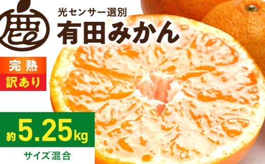 
                  【2026年先行予約】 家庭用 完熟 有田みかん 5kg 傷み補償 ＋250g サイズ混合 訳あり 光センサー選果 傷あり 濃厚な味わい みかんどころ 柑橘 フルーツ 果実 デザート お取り寄せ 和歌山県 湯浅町 送料無料 _ZH7128
                