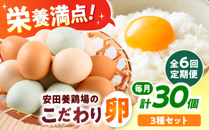 【全6回定期便】安田養鶏場の卵 3種セット しおさい アトムくん タフラン 30個入り（各10個入り） 横須賀市 産地直送 たまご 黄身 濃厚 卵 玉子 タマゴ 鶏卵  【安田養鶏場】 [AKHN01