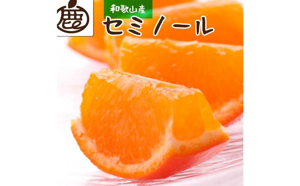 ＜4月より発送＞ 厳選 セミノールオレンジ 4kg+120g（傷み補償分） 有田の春みかん 有田産 光センサー食べ頃出荷 ［IKE154］ 303446_BB90037