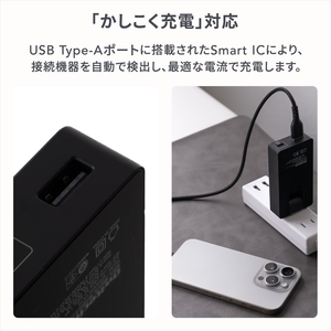 Owltech(オウルテック) 薄さ19.5mm 最大PD65W出力 GaN採用 USB Type-C×1 USB Type-A×1 AC充電器 OWL-APD65SC1A1G-BK【 充電器 神奈川