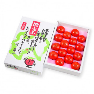 ＜2026年1月下旬より発送＞フルーツトマト特選ギフト約800g トマト フルーツトマト 池トマト 糖度10度以上 高糖度 高知県産 ギフト 箱入り 贈答用 贈り物 健康 美味しい ふるーつとまと お