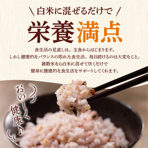 【隔月3回　定期便】国内産 GABA雑穀米 230g×6個 1380g×3回_日本雑穀アワード 2年連続 金賞 GABA 雑穀 米 230g 6個 隔月 定期便 3回 国産 16種 ブレンド 発芽 甘