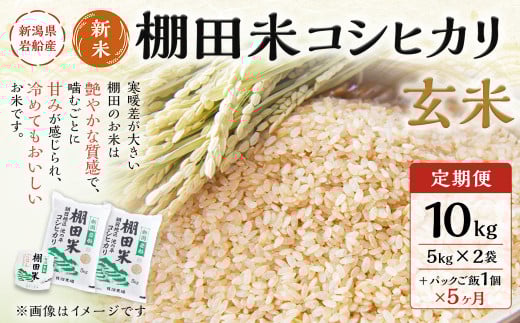 【新米受付・令和7年産米】【定期便：5ヶ月連続でお届け】 新潟県岩船産 棚田米 コシヒカリ 玄米10kg ＋ 棚田米コシヒカリのパックごはん(150g×1個)×5ヶ月 1067126N