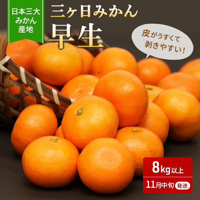 【ふるさと納税】【2026年11月中旬より順次発送】三ヶ日みかん 早生 優品 S 8kg みかん ミカン 蜜柑 早生みかん 三ヶ日 果物 くだもの フルーツ 旬の果物 旬のフルーツ 柑橘 柑橘類 糖度 静岡 浜松市【配送不可：離島】　お届け：2026年11月中旬～12月上旬まで