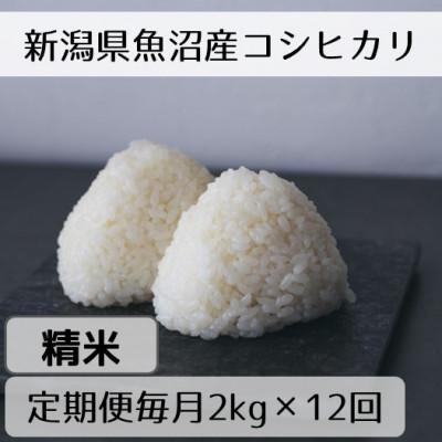 ふるさと納税 十日町市 【毎月定期便】新潟県魚沼産コシヒカリ「山清水米」精米2kg全12回