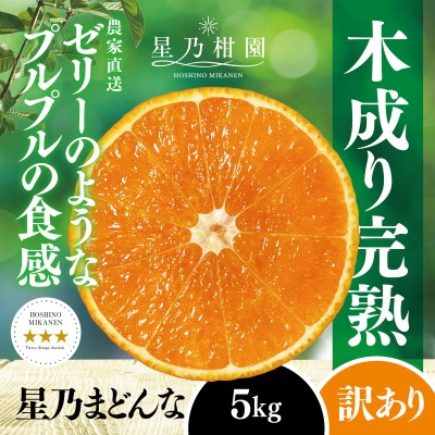 
            ＜三つ星ブランド＞星乃みかん園の星乃まどんな(5kg)＜D45-62＞【1339328】
          