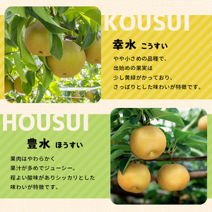【2025年先行予約】【定期便3回】幸水3kg 豊水3kg 秋月3kg 新高5kg 旬の梨食べ比べセット