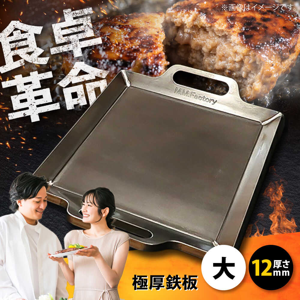 【ふるさと納税】極厚鉄板【大】12mm厚（TMS-120）　【 キャンプ アウトドア 調理グッズ 調理器具 お好み焼き 餃子 ステーキ ハンドリフター付き 】