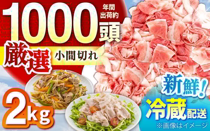 
            ええやんさくらポーク 小林ファーム 豚肉 小間切れ 2kg /亀山市/小林ファーム [AMAB059]
          