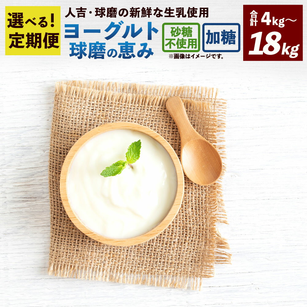 【ふるさと納税】＜選べる 定期便 ＞ 球磨の恵み ヨーグルト 加糖 ／ 砂糖不使用 2ヶ月／3ヶ月／4ヶ月／5ヶ月／6ヶ月 2kg／3kg 1パックあたり1kg 乳製品 生乳 朝ごはん スイーツ おやつ ジャム シリアル グラノーラ ヘルシー 人吉球磨 国産 熊本県産 相良村 冷蔵 送料無料