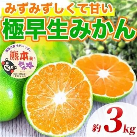 極早生みかん 2S～2L 約3kg(益城町)【1725626】