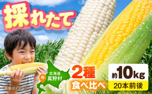 【8月下旬以降順次発送】 白と黄色のとうもろこし 各5kg |  とうもろこし とうきび トウモロコシ トウキビ コーン  朝採れ  野菜 やさい 北海道 産地直送 採れたて野菜 旬 お取り寄せ 先行予約 産直 | 道の駅 真狩フラワーセンター [BPAM019]