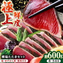 【ふるさと納税】土佐料理司本店 鰹たたき2節セット 約600g（4〜5名分） / かつお 鰹 カツオ かつおのたたき 高知市【株式会社土佐料理司】[ATAD009]