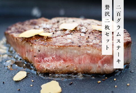 《佐賀牛》「梁井」希少部位 ヒレステーキ 2枚 400g【佐賀牛 ヒレステーキ フィレステーキ ヒレ肉 フィレ やわらか 上質 サシ 美味しい パーティー イベント ブランド肉】 F7-A081013